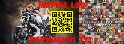 индика Лесосибирск