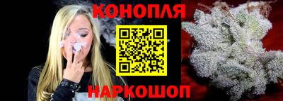 индика Лесосибирск