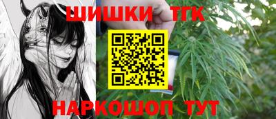 индика Лесосибирск