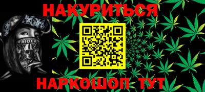 индика Лесосибирск