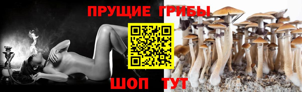 Жигулёвск  Галлюциногенные грибы ЛСД  Вход с VPN  Галлюциногенные грибы Psilocybine cubensis 
